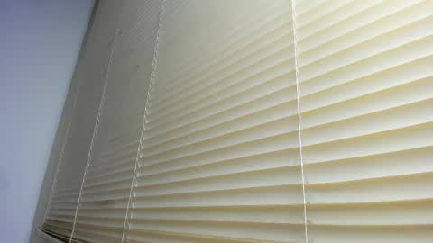 Snapshot of _molly_rosse_ chatting on December 5, 12:14 pm _molly_rosse_ online show from December 5, 12:14 pm