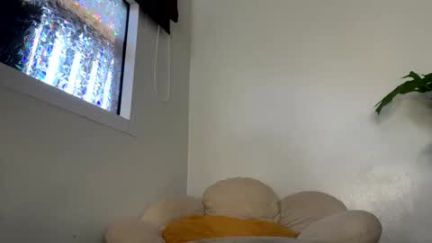 Snapshot of _morpho_ chatting on January 29, 5:09 am Francine Aisi Morpho - a genus of blue butterflies. online show from January 29, 5:09 am