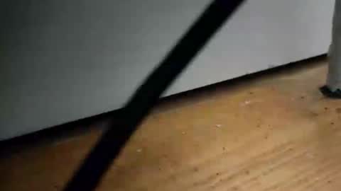 _nicetobehere_ online show from January 16, 1:04 pm