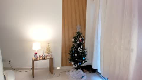 Sam   --- next stream 1 dic  food and vino show . online show from December 28, 9:08 pm