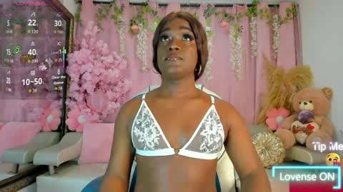 Sammy online show from April 8, 11:21 am