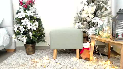 Snapshot of _sassy_girl chatting on December 26, 6:33 pm Sassy Girl online show from December 26, 6:33 pm