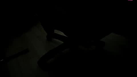 Selene online show from November 5, 1:44 pm