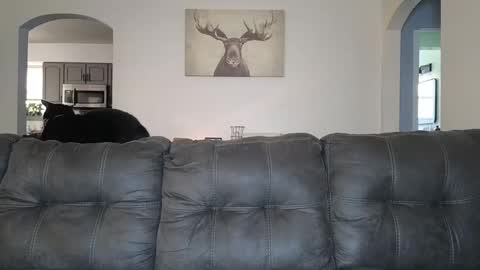 Snapshot of _sophia_grace_ chatting on October 3, 4:37 pm SophiaGraceKnight online show from October 3, 4:37 pm