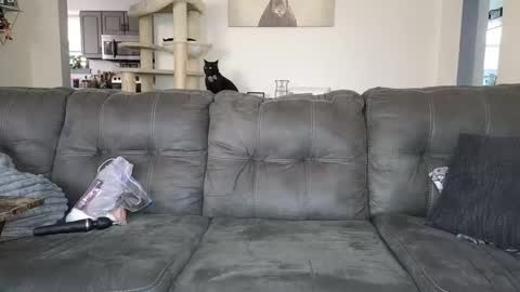 Snapshot of _sophia_grace_ chatting on November 12, 5:13 pm SophiaGraceKnight online show from November 12, 5:13 pm