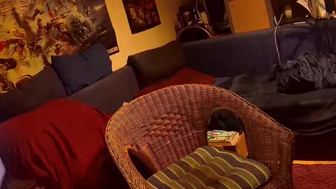 Sven online show from November 3, 5:36 pm