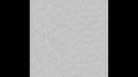 _tammarra_ online show from October 31, 11:55 am