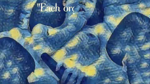 Evi online show from December 24, 10:49 pm