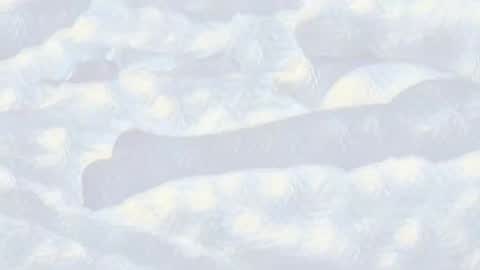 Evi online show from January 14, 10:44 pm