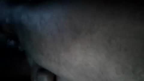 A2Please online show from September 15, 2:06 pm