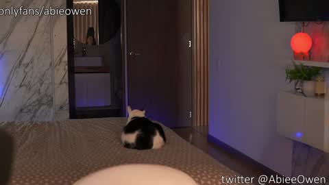 Snapshot of abie_owen chatting on September 28, 9:09 pm abie_owen online show from September 28, 9:09 pm