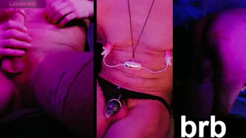 absulent online show from November 9, 11:30 am