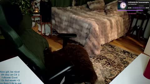 Snapshot of adalinarae chatting on January 5, 6:24 am Adalina Rae online show from January 5, 6:24 am