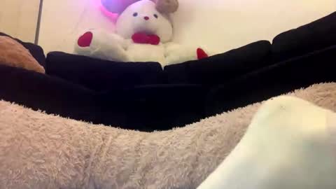 ENIGMA TZX5114 online show from February 18, 12:28 pm