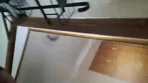 adamlucas54321s773712 online show from October 8, 1:36 am