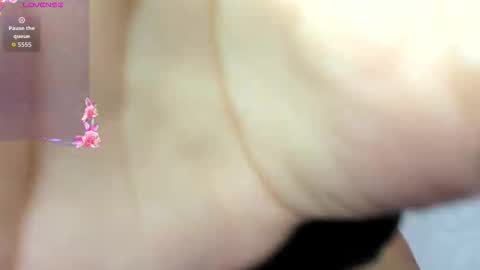 Snapshot of adams_niki chatting on November 3, 12:39 pm ADAMS Y NIKI online show from November 3, 12:39 pm