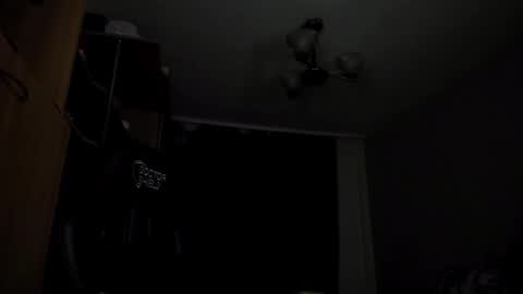 Snapshot of adonislovely chatting on December 14, 7:46 pm Adonis Steel online show from December 14, 7:46 pm