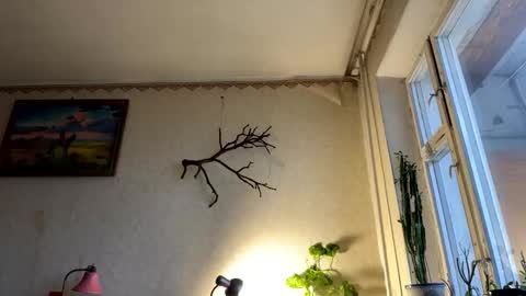 Snapshot of aevra chatting on October 7, 5:37 am vegans taste better online show from October 7, 5:37 am