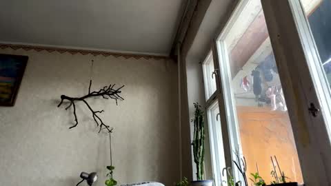 Snapshot of aevra chatting on October 14, 6:14 am vegans taste better online show from October 14, 6:14 am