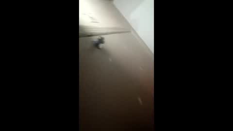 afnuke000 online show from March 4, 9:15 am