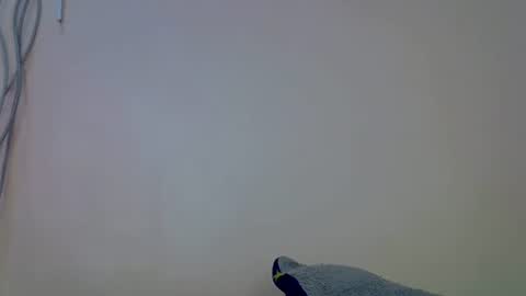 Kana online show from September 16, 9:32 am