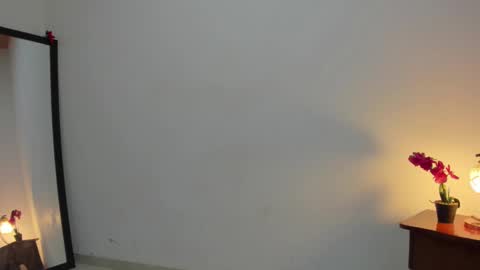 Snapshot of afrodita3123 chatting on February 25, 12:34 pm Lorena online show from February 25, 12:34 pm