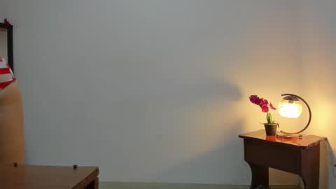 Snapshot of afrodita3123 chatting on March 4, 12:44 pm Lorena online show from March 4, 12:44 pm