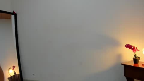 Snapshot of afrodita3123 chatting on March 6, 1:03 pm Lorena online show from March 6, 1:03 pm