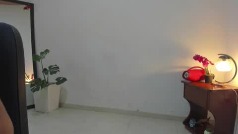 Snapshot of afrodita3123 chatting on November 7, 3:34 pm Lorena online show from November 7, 3:34 pm