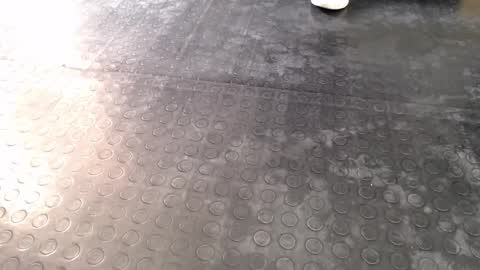  Miss Agata  online show from December 16, 6:57 pm