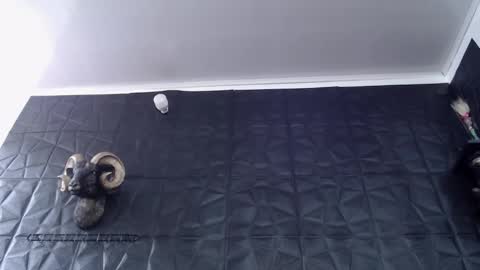  Miss Agata  online show from February 24, 6:28 pm