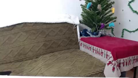 Agatha online show from January 4, 3:39 pm