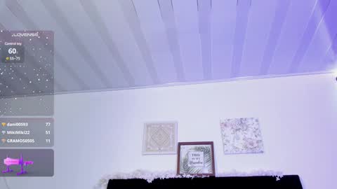 Snapshot of aihnoa_split chatting on January 21, 3:32 pm AIHNOA online show from January 21, 3:32 pm