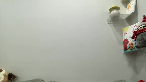 Snapshot of ailebun chatting on December 29, 3:54 am Aile online show from December 29, 3:54 am