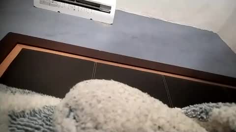 Snapshot of airoon91 chatting on November 16, 5:24 am airoon91 online show from November 16, 5:24 am