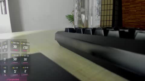 Snapshot of aisharouhi chatting on October 19, 3:51 am Aisha online show from October 19, 3:51 am