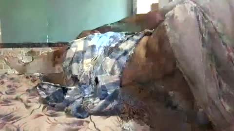 Snapshot of ajeeb_najeeb chatting on December 16, 6:32 am BigHairyGuy online show from December 16, 6:32 am