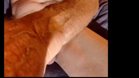 akiwi2 online show from December 20, 10:05 am