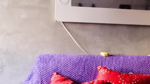 alasska_18 online show from October 25, 10:04 pm