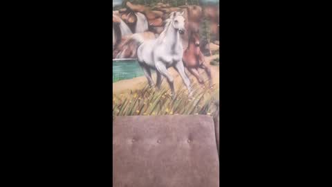 Snapshot of albina6543 chatting on February 16, 7:48 am albina online show from February 16, 7:48 am