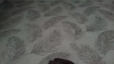 Aletta Oushen online show from January 12, 11:17 am