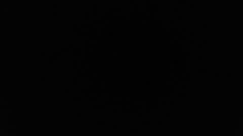 Alex online show from February 26, 1:04 am