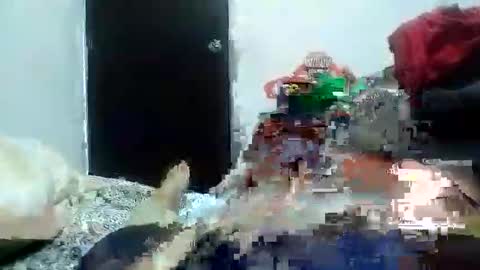 Alexamdergal online show from January 11, 3:13 am