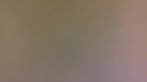 Snapshot of alexfan141 chatting on October 31, 4:41 pm alexfan141 online show from October 31, 4:41 pm