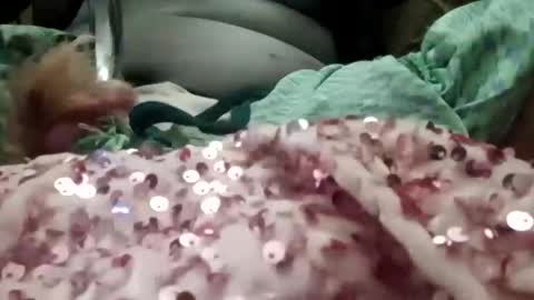 alexis0007754689 online show from January 6, 7:39 pm