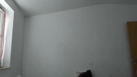 alfiesolomons87 online show from November 14, 9:41 am