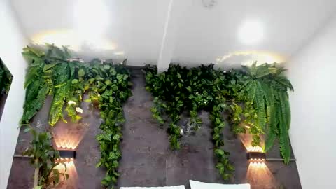 Alice online show from February 1, 6:17 pm