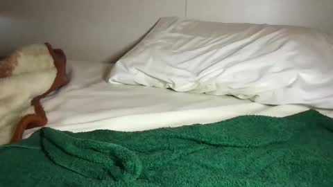 Snapshot of aliroxy28 chatting on October 16, 3:02 pm Ali Roxy online show from October 16, 3:02 pm