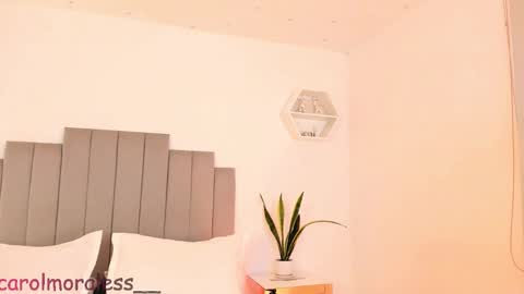 Snapshot of alisa_walton chatting on November 30, 4:05 am ALIS online show from November 30, 4:05 am