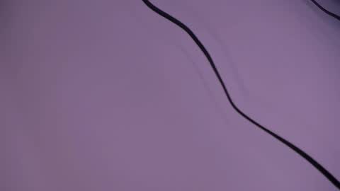 alison smith online show from December 5, 12:11 pm